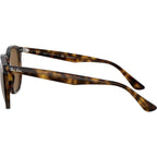 RB4306, Light Havana/Brown Polarised Lenses