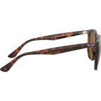 RB4306F, Light Havana/Brown Polarised Lenses