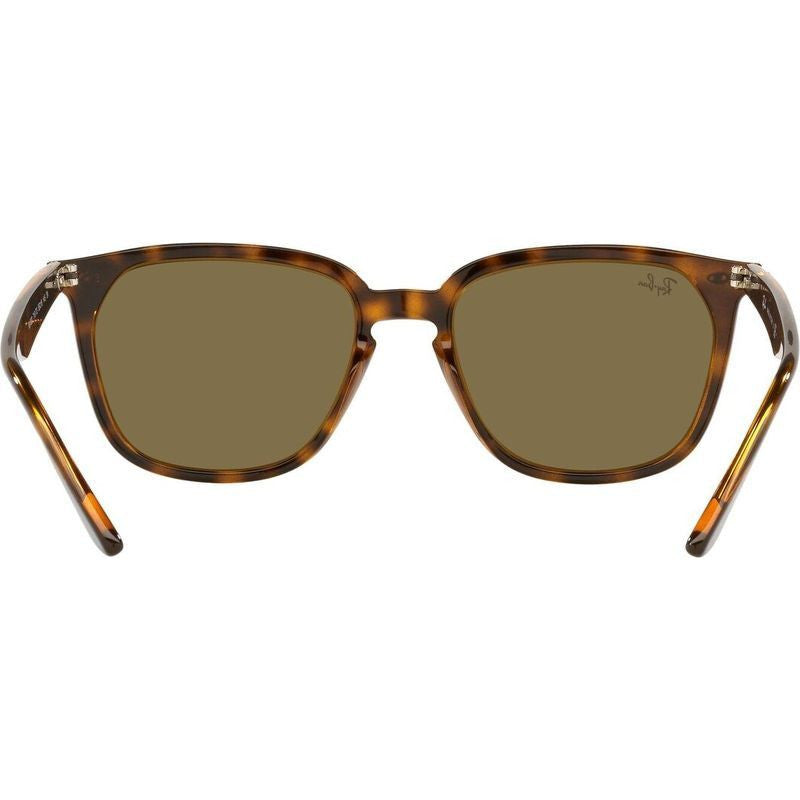 RB4362, Havana/Dark Brown Lenses
