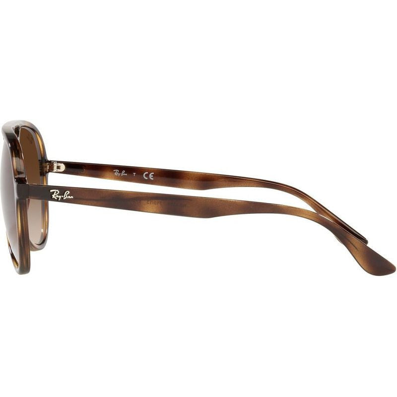 RB4376, Havana/Brown Gradient Lenses