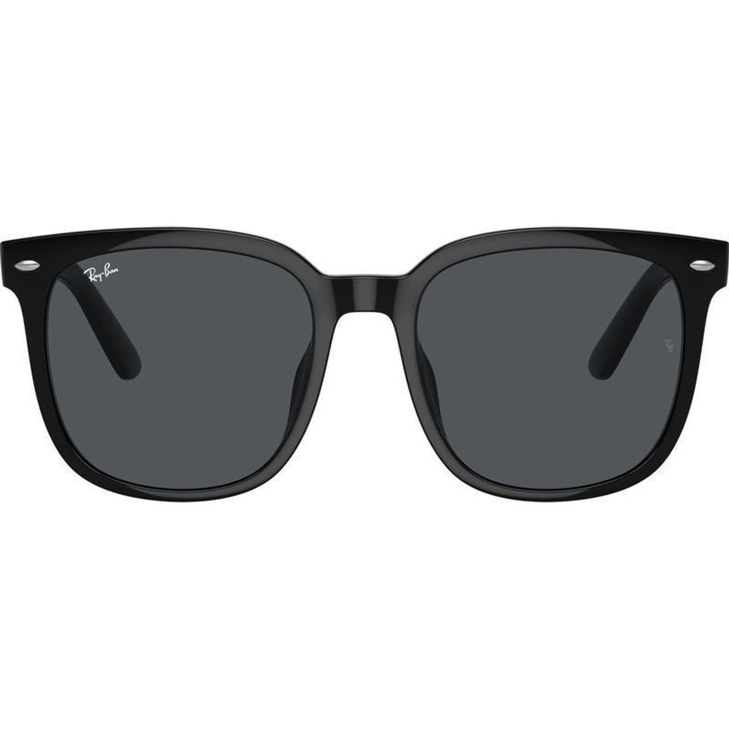 RB4401D, Black/Dark Grey Lenses 55 Eye Size