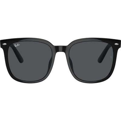 RB4401D, Black/Dark Grey Lenses 55 Eye Size