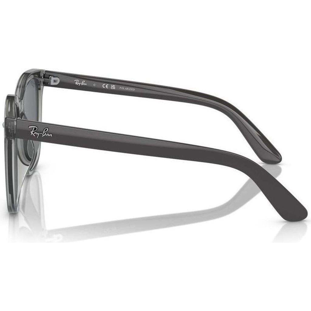 RB4401D, Transparent Grey/Dark Grey Polarised Lenses 55 Eye Size