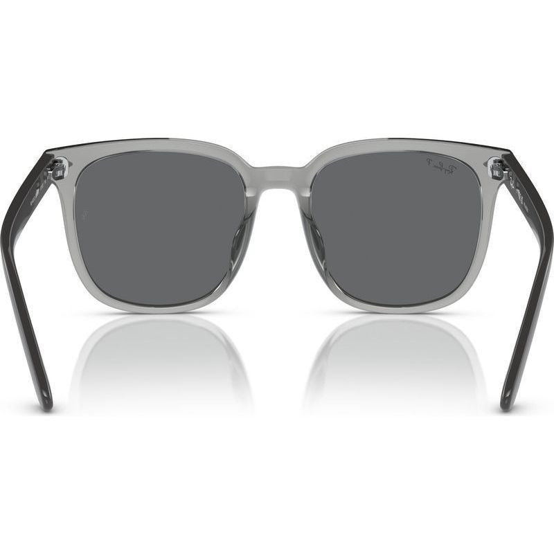 RB4401D, Transparent Grey/Dark Grey Polarised Lenses 57 Eye Size