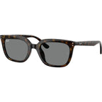 RB4439D, Havana/Dark Grey Lenses