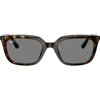 RB4439D, Havana/Dark Grey Lenses
