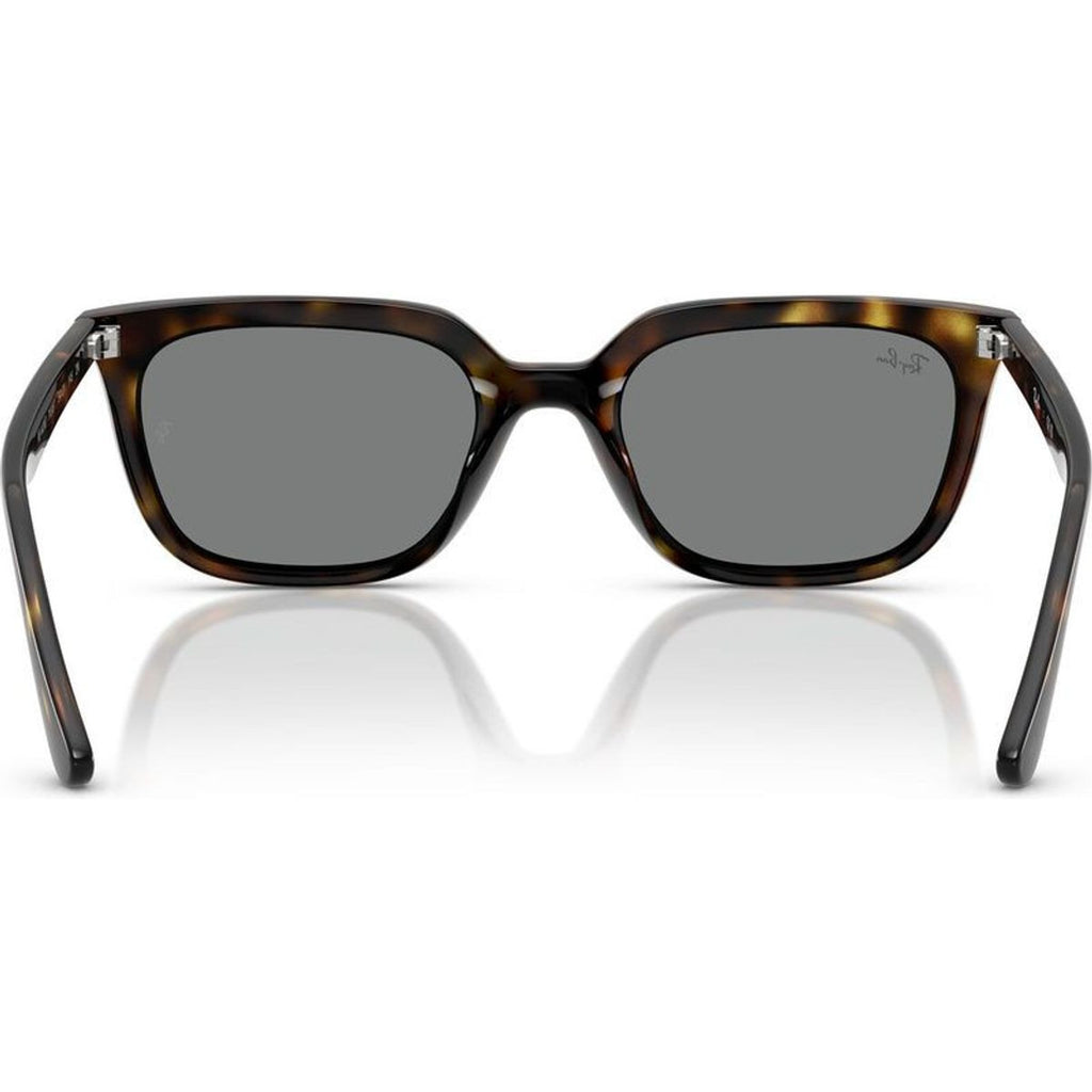RB4439D, Havana/Dark Grey Lenses
