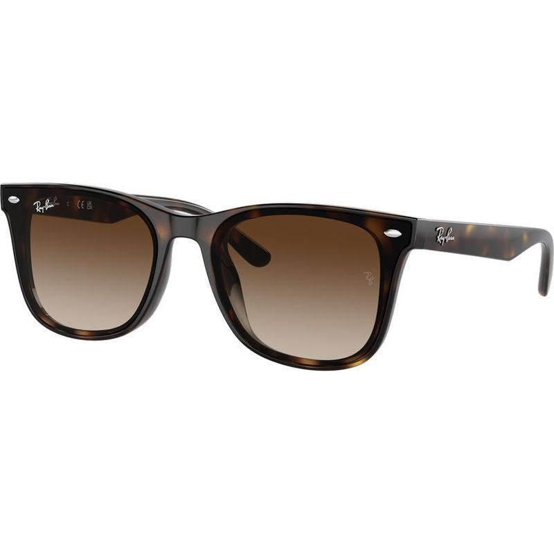 RB4420, Havana/Brown Gradient Lenses