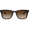 RB4420, Havana/Brown Gradient Lenses