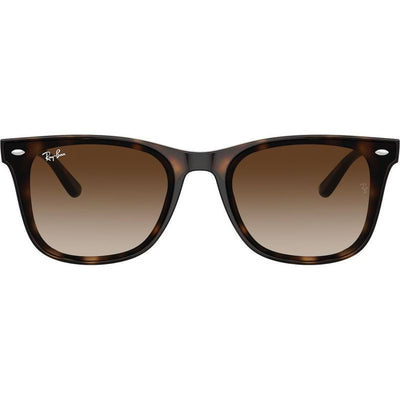 RB4420, Havana/Brown Gradient Lenses