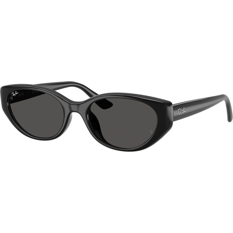 RB4457D, Black/Dark Grey Lenses