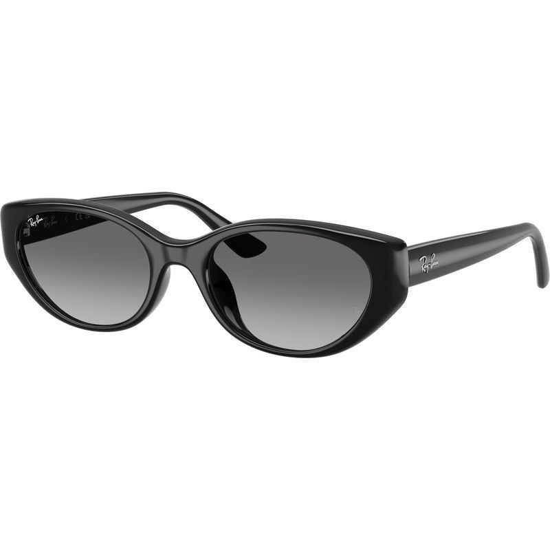 RB4457D, Black/Grey Gradient Lenses