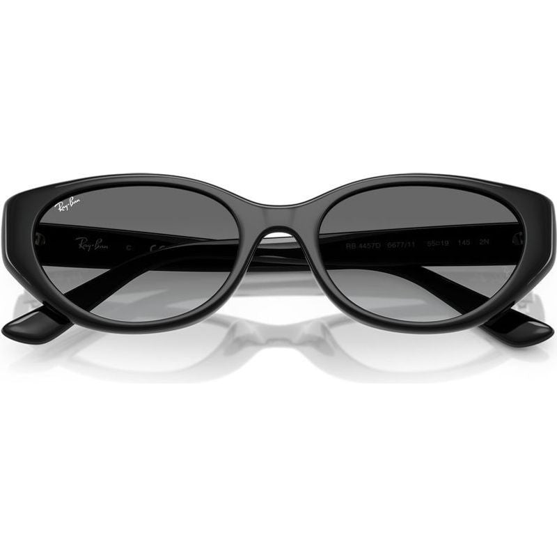 RB4457D, Black/Grey Gradient Lenses