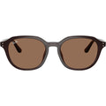 RB4459D, Opal Brown/Dark Brown Lenses