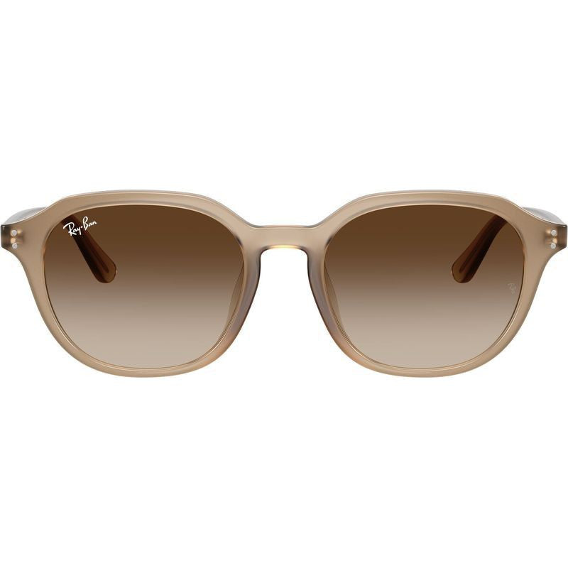 RB4459D, Turtledove/Brown Gradient Lenses
