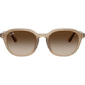 RB4459D, Turtledove/Brown Gradient Lenses