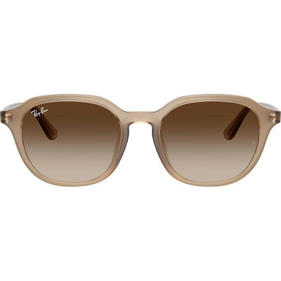 RB4459D, Turtledove/Brown Gradient Lenses