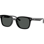 RB4461D, Black/Dark Grey Lenses