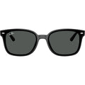 RB4461D, Black/Dark Grey Lenses