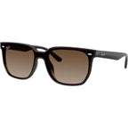 RB4466D, Transparent Dark Brown/Brown Gradient Lenses
