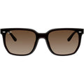 RB4466D, Transparent Dark Brown/Brown Gradient Lenses