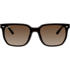 RB4466D, Transparent Dark Brown/Brown Gradient Lenses