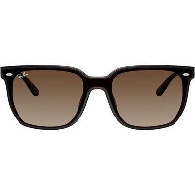 RB4466D, Transparent Dark Brown/Brown Gradient Lenses