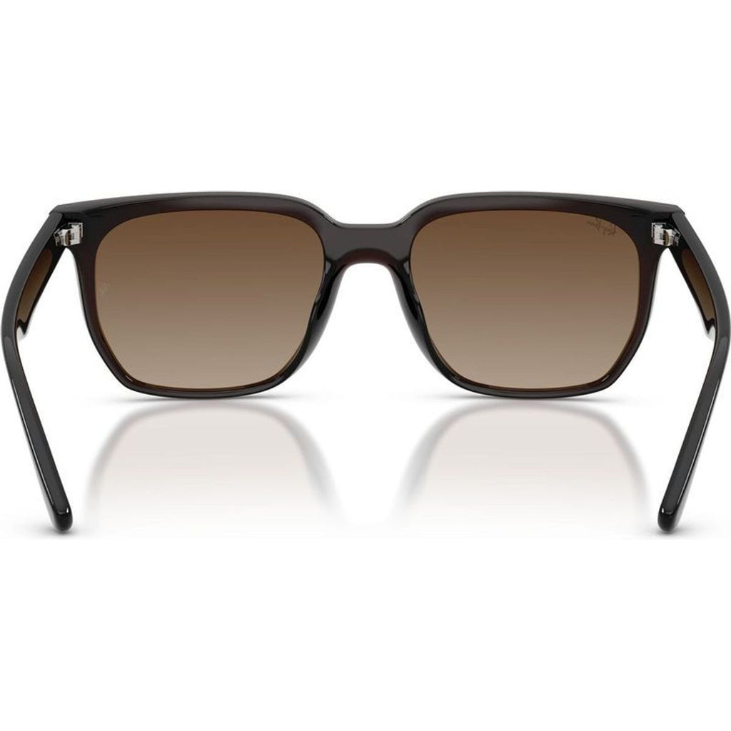 RB4466D, Transparent Dark Brown/Brown Gradient Lenses