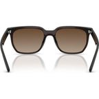 RB4466D, Transparent Dark Brown/Brown Gradient Lenses