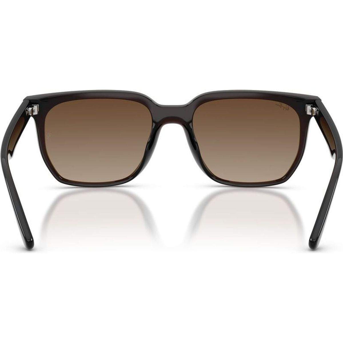 RB4466D, Transparent Dark Brown/Brown Gradient Lenses