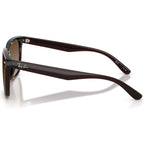 RB4466D, Transparent Dark Brown/Brown Gradient Lenses