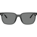 RB4466D, Transparent Grey/Dark Grey Lenses