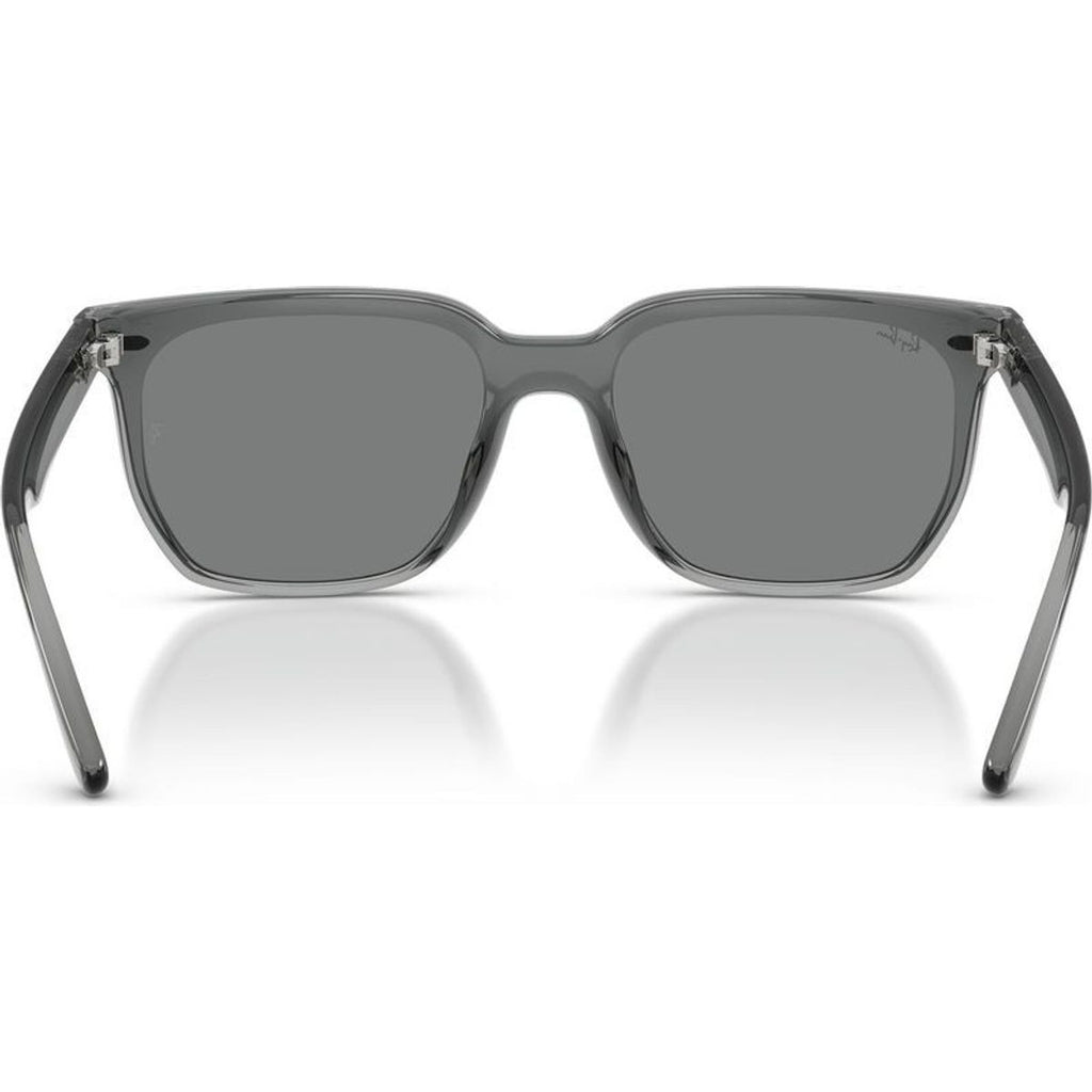 RB4466D, Transparent Grey/Dark Grey Lenses