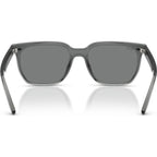 RB4466D, Transparent Grey/Dark Grey Lenses
