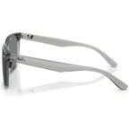 RB4466D, Transparent Grey/Dark Grey Lenses