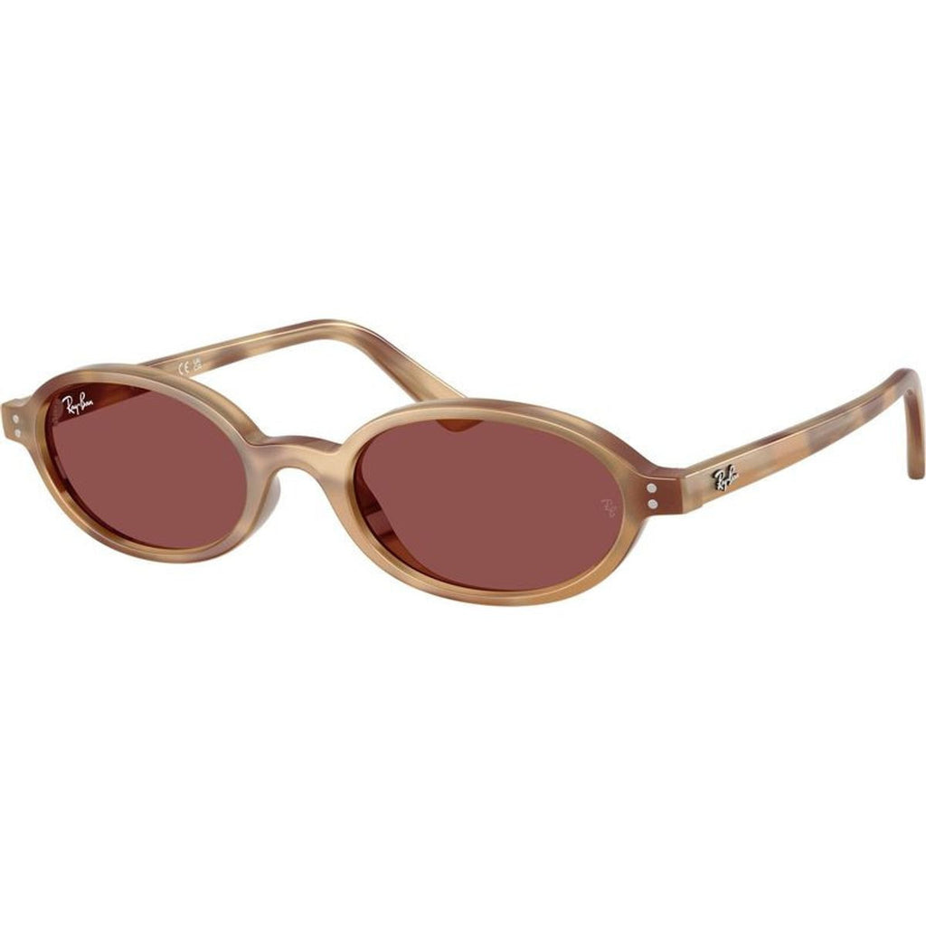 RB4472, Cream Havana/Dark Violet Lenses 51 Eye Size