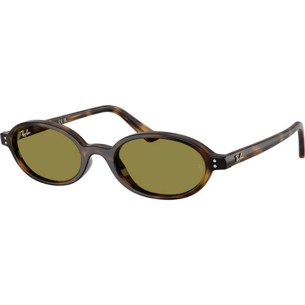 RB4472, Havana/Green Lenses 51 Eye Size