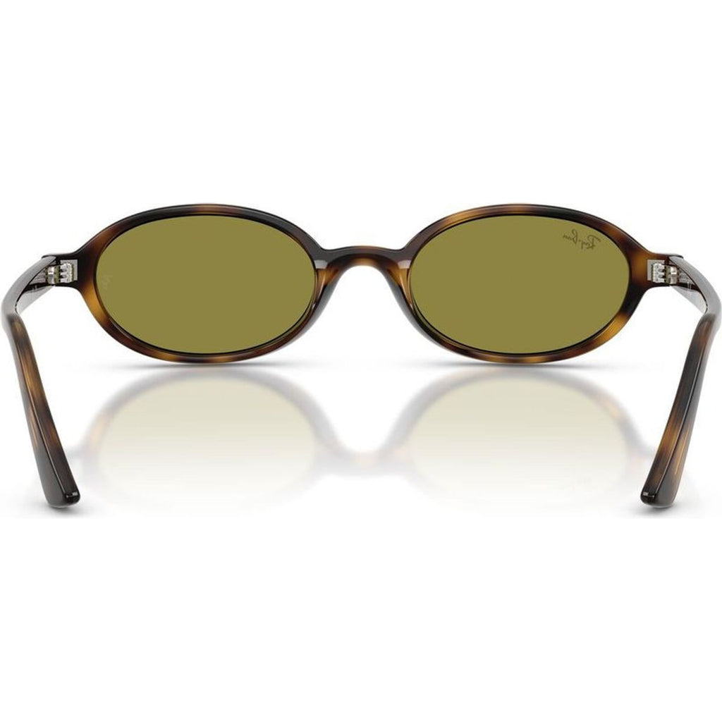 RB4472, Havana/Green Lenses 51 Eye Size