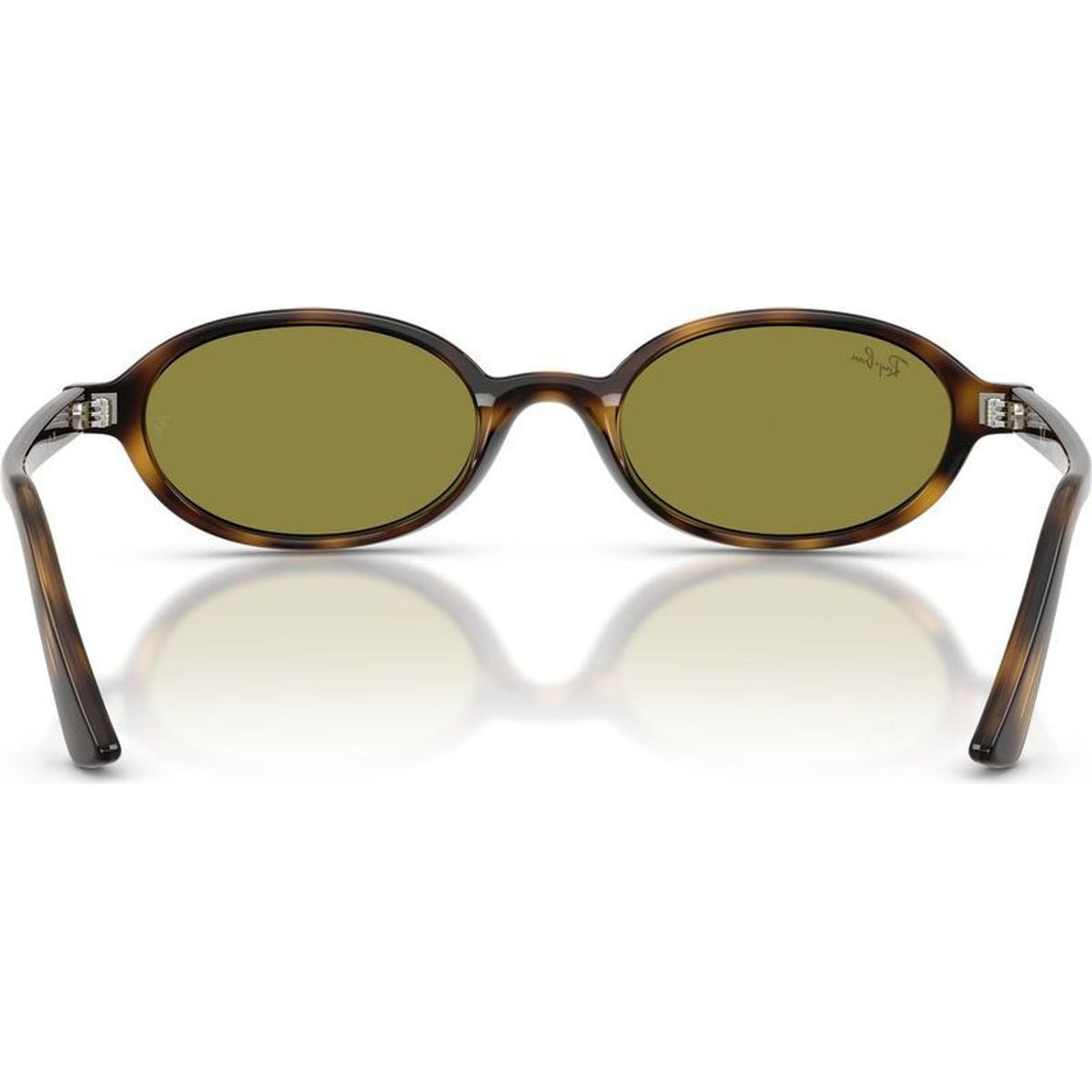 RB4472, Havana/Green Lenses 51 Eye Size