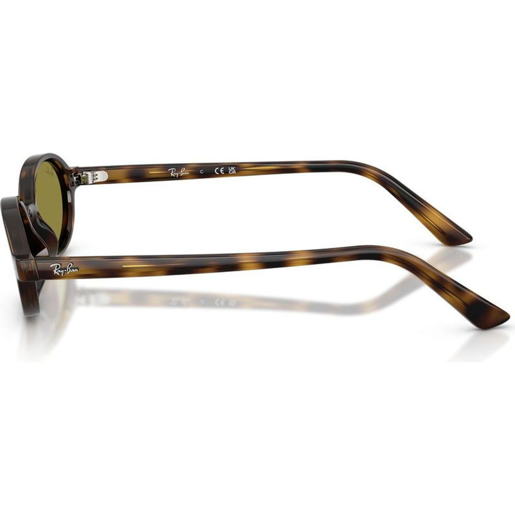 RB4472, Havana/Green Lenses 51 Eye Size