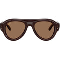 RB4925, Transparent Brown/Dark Brown Lenses 52 Eye Size