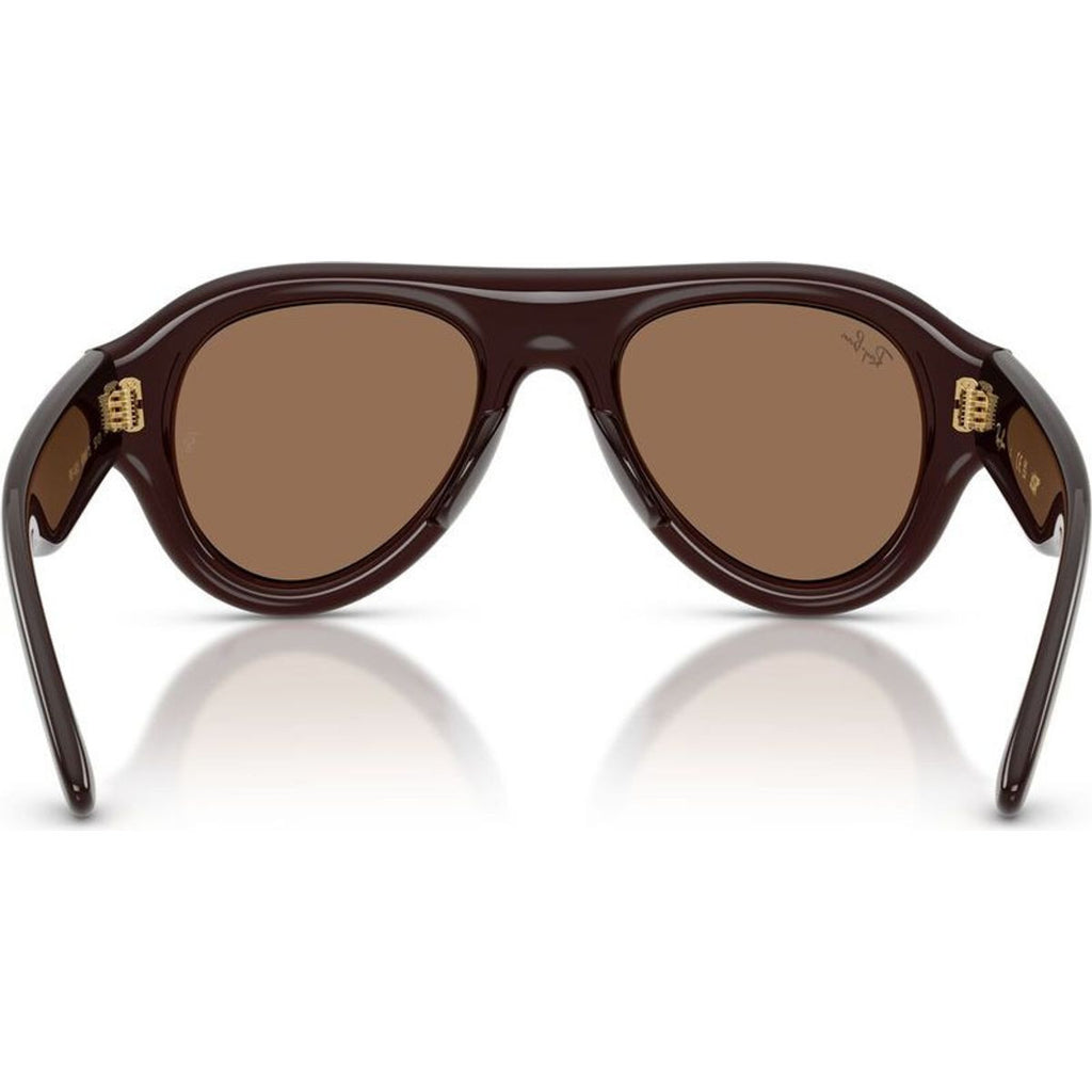 RB4925, Transparent Brown/Dark Brown Lenses 52 Eye Size