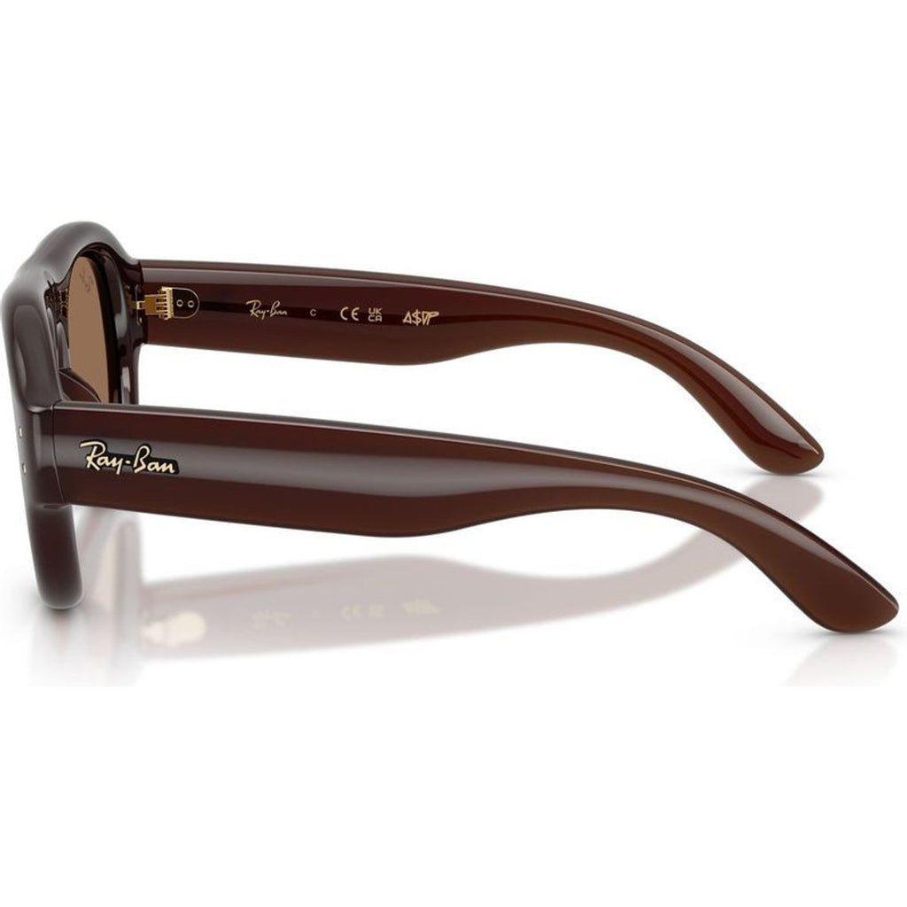 RB4925, Transparent Brown/Dark Brown Lenses 52 Eye Size