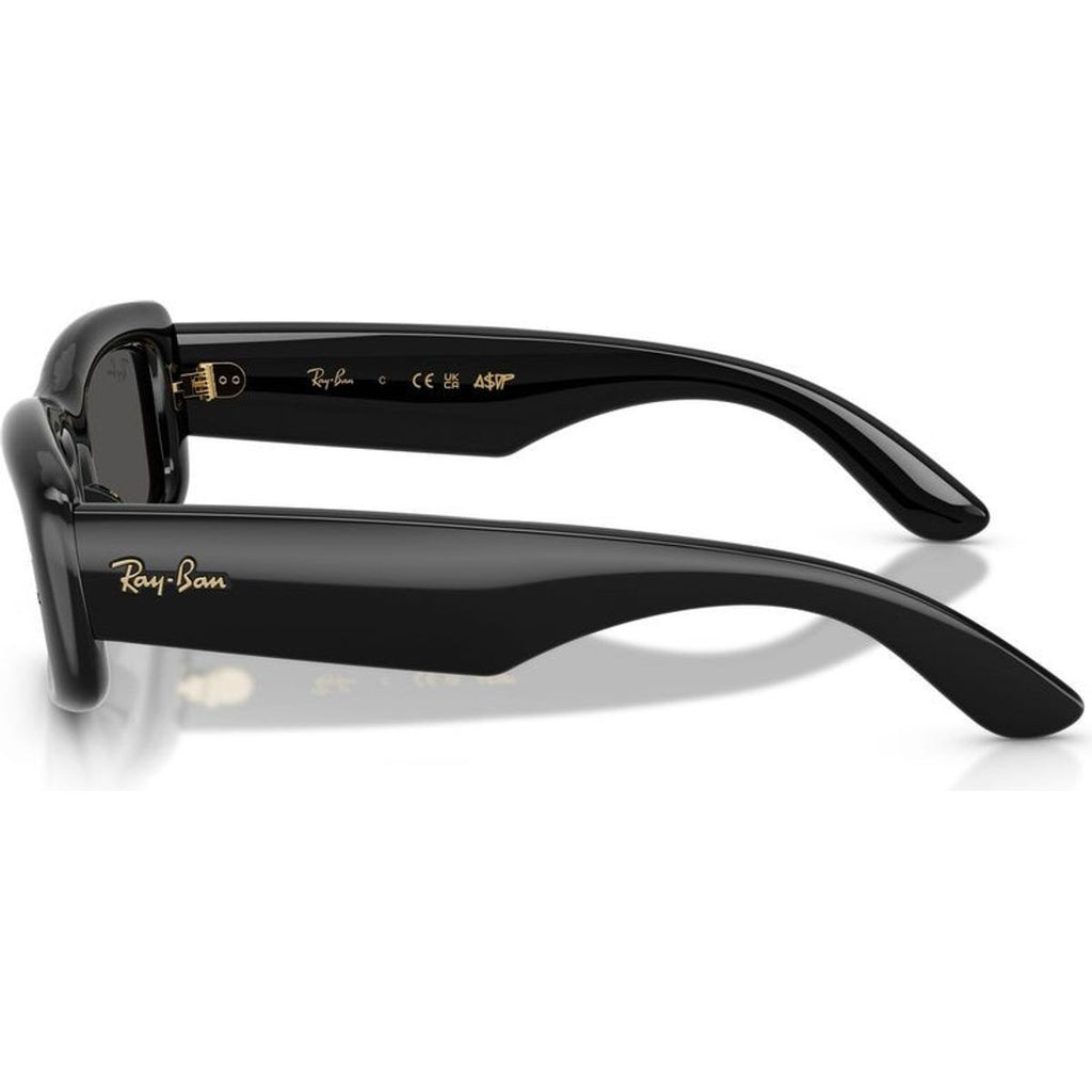 RB4944, Black/Ultra Black Lenses