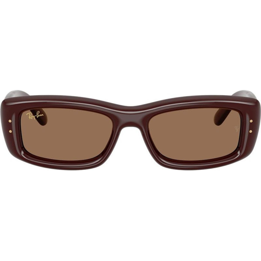 RB4944, Transparent Brown/Dark Brown Lenses
