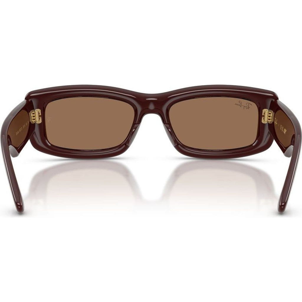 RB4944, Transparent Brown/Dark Brown Lenses
