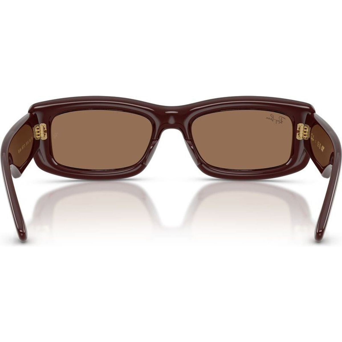 RB4944, Transparent Brown/Dark Brown Lenses