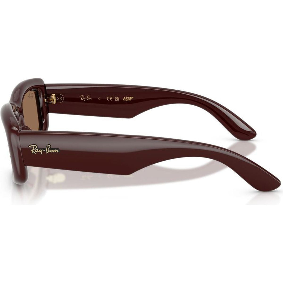 RB4944, Transparent Brown/Dark Brown Lenses