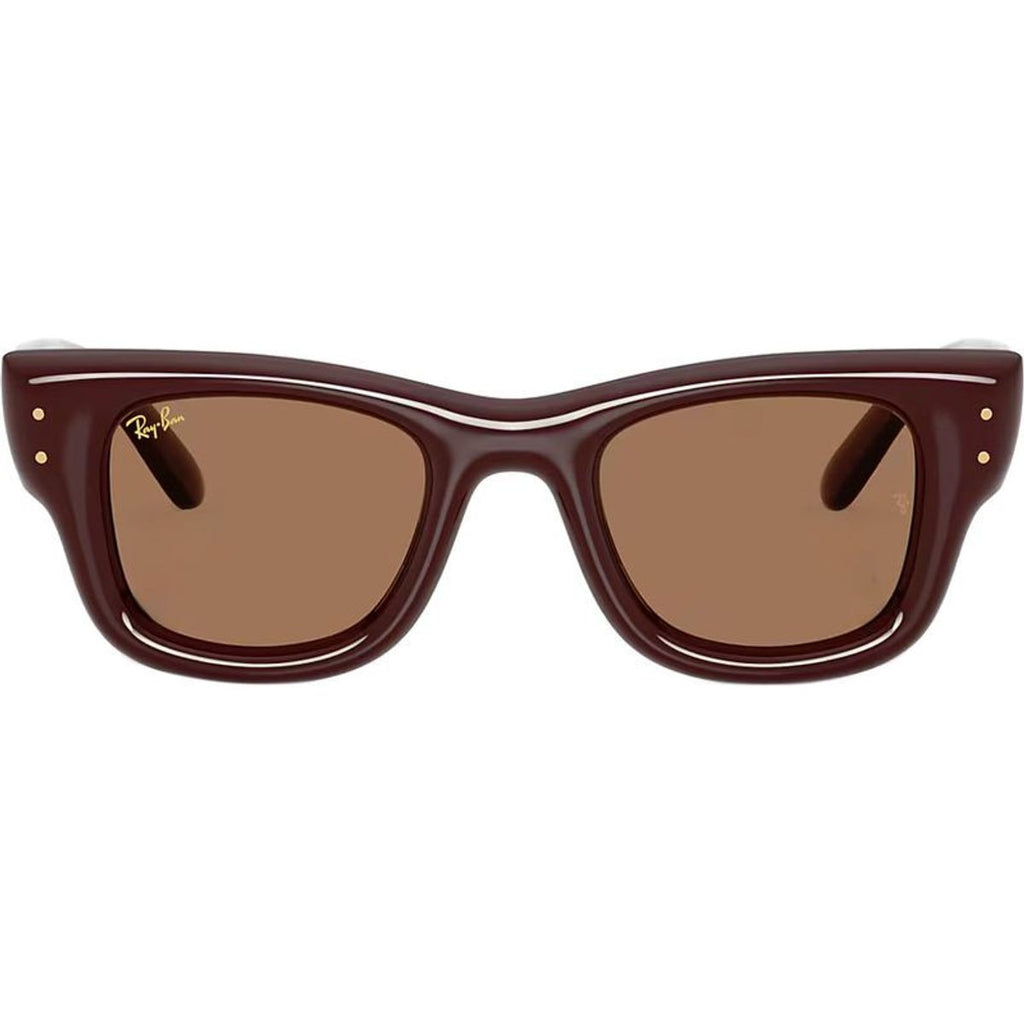 Wayfarer Puffer RB4940, Dark Brown/Dark Brown Lenses 47 Eye Size