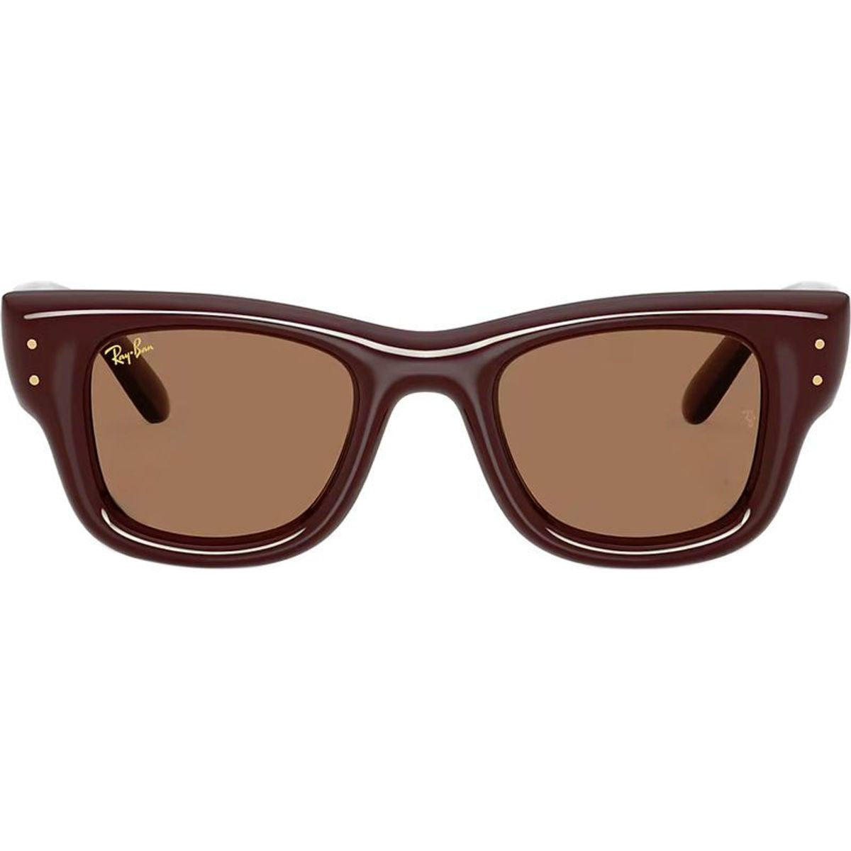 Wayfarer Puffer RB4940, Dark Brown/Dark Brown Lenses 47 Eye Size